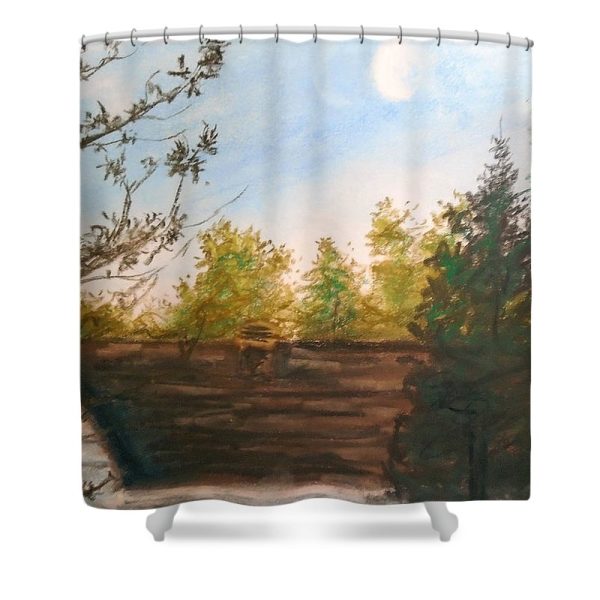 Backyard ~ Shower Curtain Discount