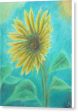 Sunflower Trance ~ Canvas Print Online