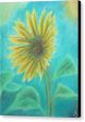 Sunflower Trance ~ Canvas Print Online