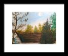 Backyard ~ Framed Print For Discount