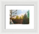 Backyard ~ Framed Print For Discount