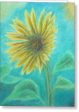 Sunflower Trance ~ Greeting Card Online