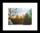 Backyard ~ Framed Print For Discount