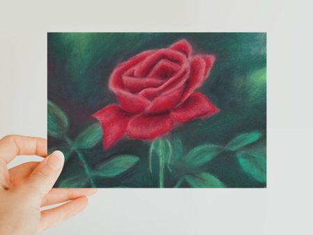 Beauty of Rose Classic ~ Postcard Online