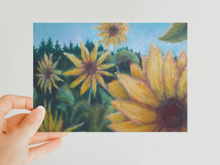 Sunny Flower ~ Postcard Discount