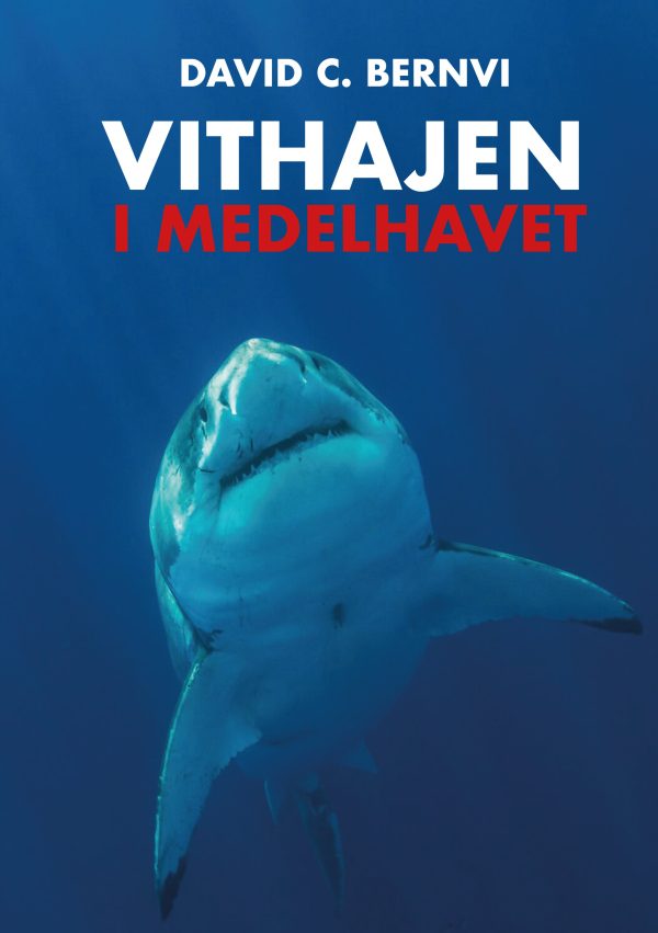 Vithajen i Medelhavet Supply